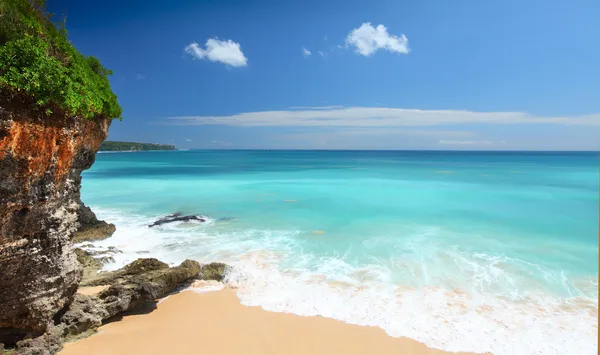 Проходження ВЛК та аналіз медичних документів